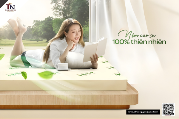Nệm Đồng Phú Quận 7 Chính Hãng Và Những Lưu Ý Khi Mua Nệm