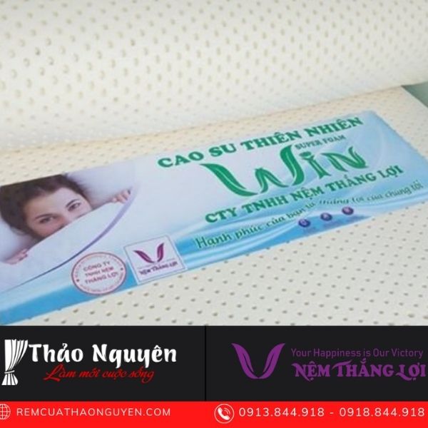 NỆM CAO SU THIÊN NHIÊN Win THẮNG LỢI 