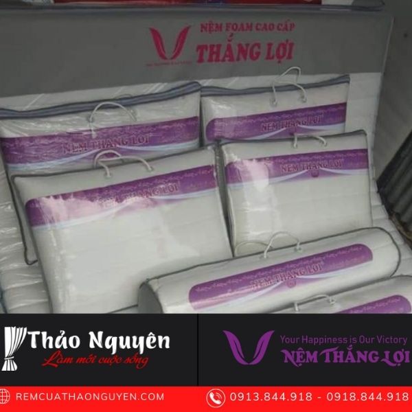 NỆM FOAM CAO SU CAO CẤP THẮNG LỢI 