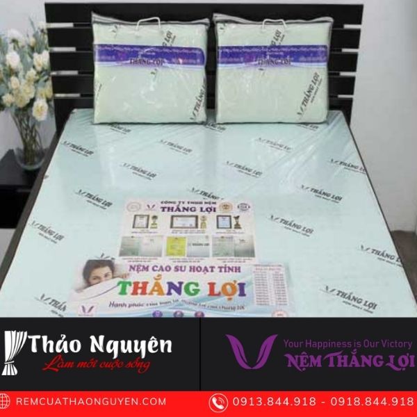 NỆM THAN HOẠT TÍNH THẮNG LỢI 